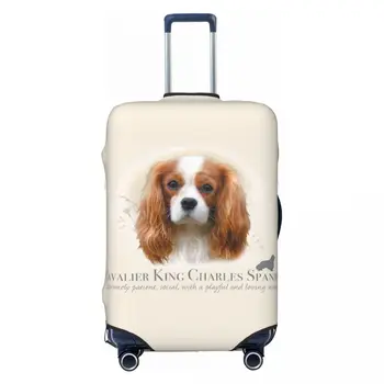 غطاء حقيبة مخصص للأمتعة ، غطاء مقاوم للأتربة ، كلب حيوان أليف ، ملك فارس ، ملحق ، 18-32 في