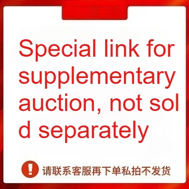 

Специальная ссылка для повторной съемки, продается отдельно не продается.