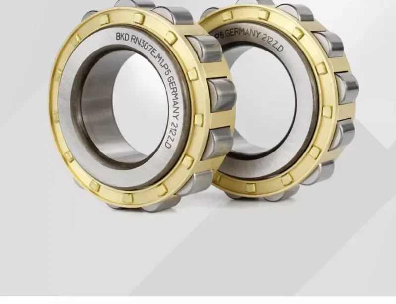 BKD imported cylindrical roller bearings RN311 cylindrical 312 rollers 313 315 319EM bearings complete list