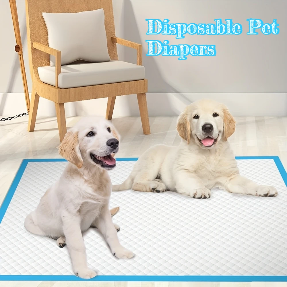40pcs Disposable Dog Training Pads, Super Absorbent, Leak-Proof for Puppy Crate & Housebreaking, Cat Potty Pads