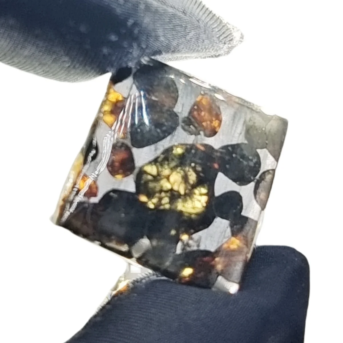 5g Seymchan Pallasite Olive Meteorite Slices Specimen Natural Meteorite Material Sliced Collection - TA645