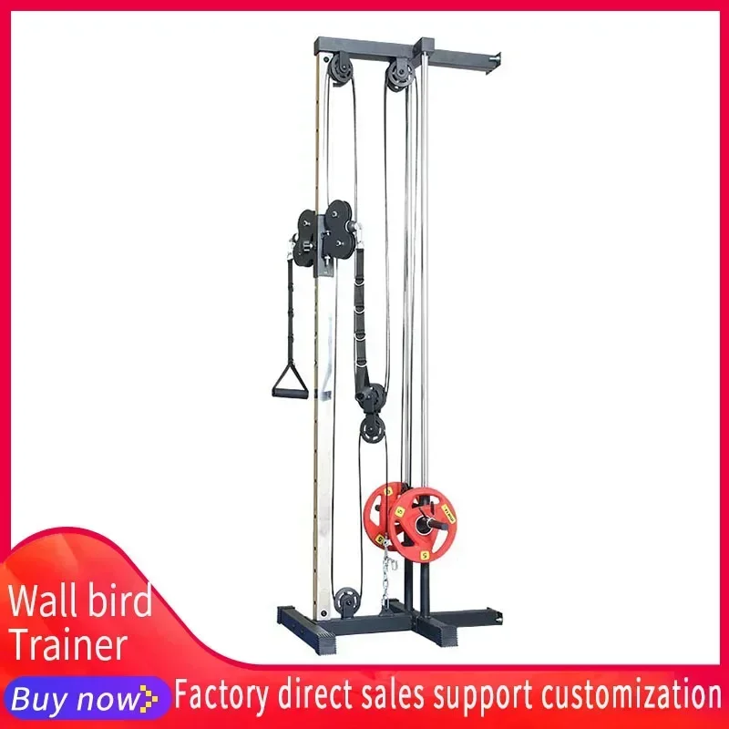 Wall Size Flying Bird Muscle Training, Pull-down, Wide Shoulder Clip, Chest Muscle, Brachial, triceps, Comprehensive Fitness