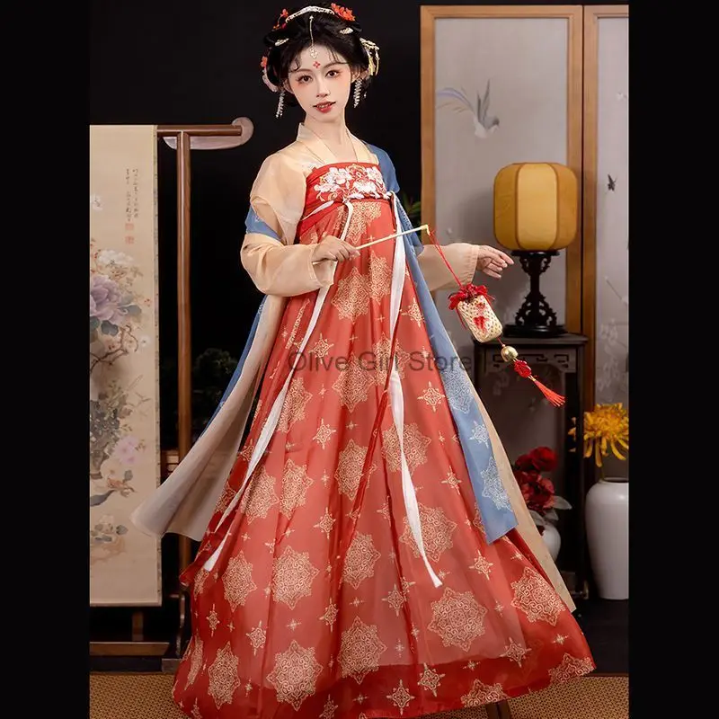 Original Hanfu Dress Authentic Tang Style Chiffon Embroidered Spring Summer Daily One Piece Dress  Chinese Dress Traditional