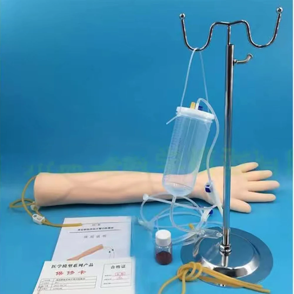 Life Size Anatomical Phlebotomy Venipuncture Practice Arm Anatomy Injection Practice Simulator Nurse Training Kit