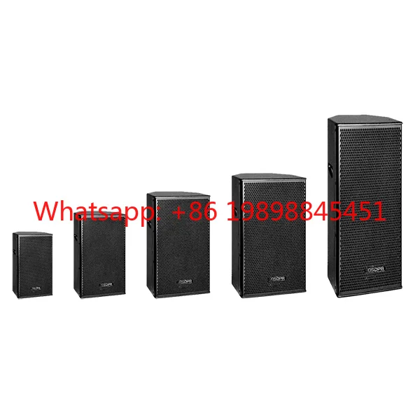 Professional 450W 15