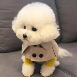์๊ตญ ์คํ์ผ ํจ์
๊ฐ ๋งํ ๋ฐ๋๋ง์ด ์ฝ๊ธฐ ํ๋ ์น ๋ถ๋
์ ์ ๋๋ฌผ ํฑ๋ฐ์ด, ์ผ์ดํ ์ ์ ๋๋ฌผ ์ฝ์คํฌ ํธ๋ ์น