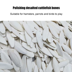 Cuttlefish Bone Natural Parrot Calcium Supplements Bird Food Pick Stone Molars Chewing Toy for Cockatiel Parakeet Parrot