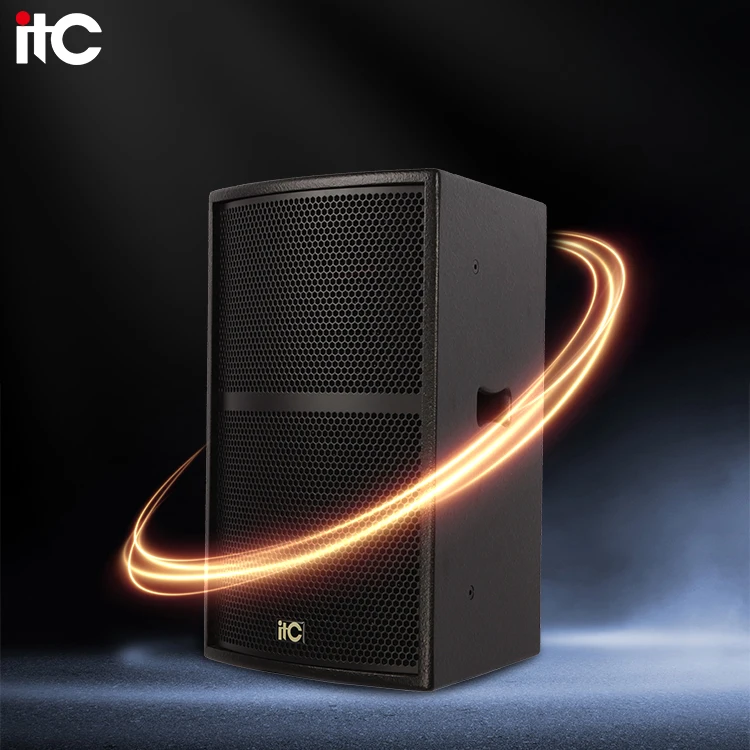 ZJZ 13 Inch 250W 8Ω Conference Audio Speakers Professional Sounds Set Speakers Professional