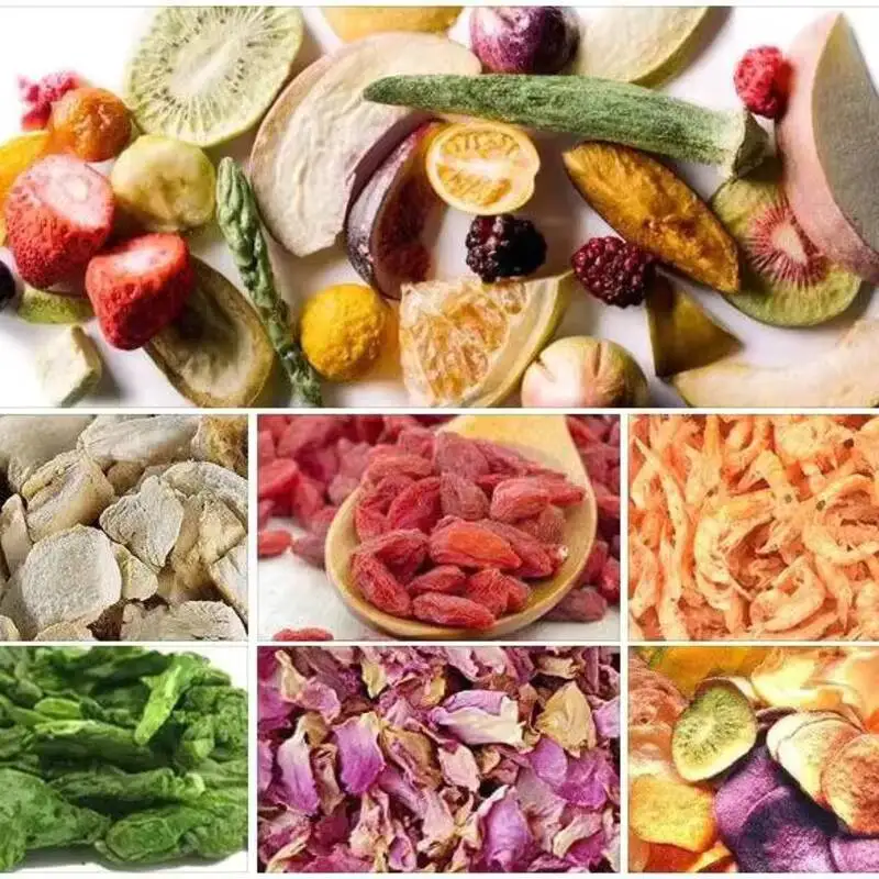 2025 New Model Fruit Avocado SJ-08H 8-12kg Household Freeze Dryer Commercial Drying Machine For Cordyceps Fruit Liquid