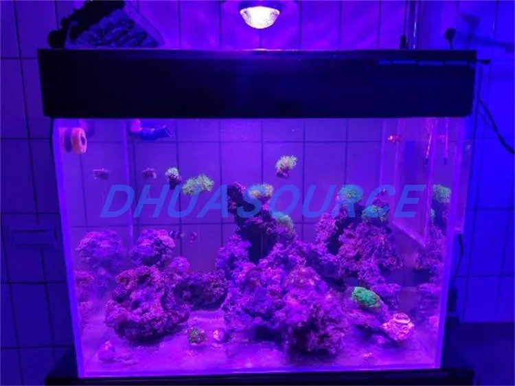 Full Spectrum CREE LED Reef Bulb, Marine Coral Lamp, Pet Lighting for saltwater, Freshher Fish, Sps, Lps, Tank, DIY