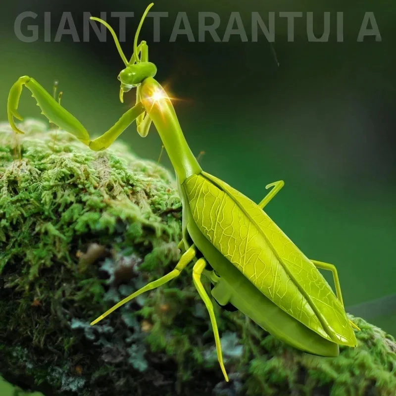 Control remoto eléctrico por infrarrojos, Mantis Pranks, insectos humanos, simulan animales, broma escalofriante, diversión, juguetes para niños, regalos