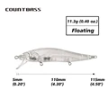 Blank Lures