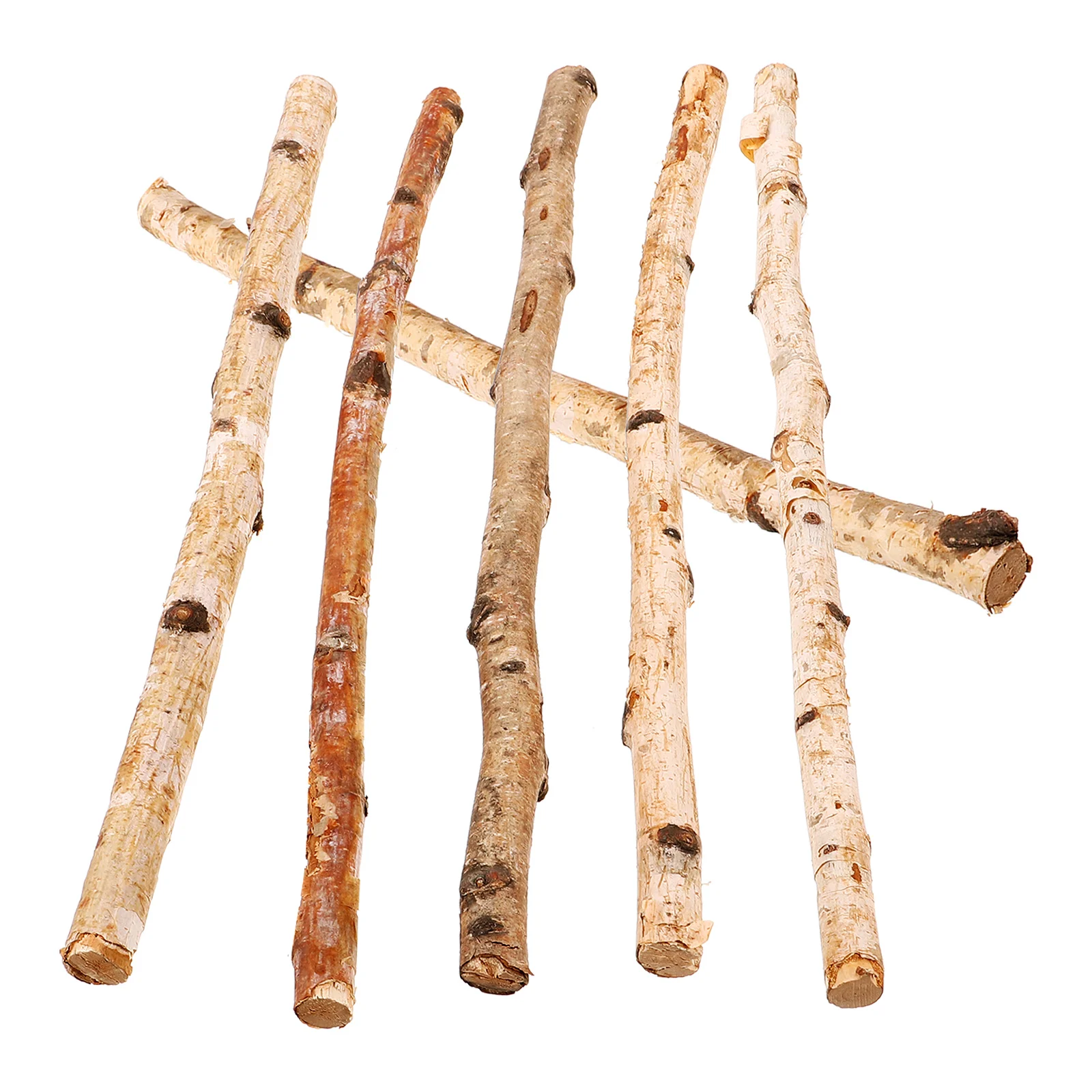 

6 Pcs Bark Stick Sticks for Crafts Making DIY Branch Wood Natural Decoration Decorative Home