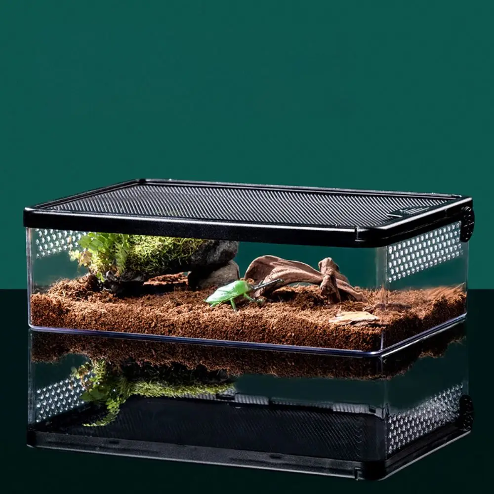 Caja de cría de reptiles, terrario acrílico de araña, lagarto, anfibio, a prueba de fugas, accesorios para animales