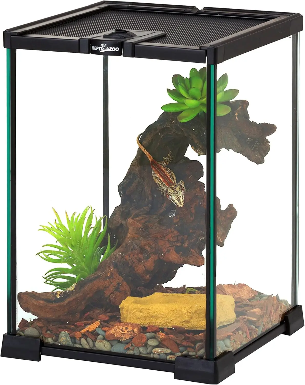 Mini Reptile Glass Terrarium Tank8