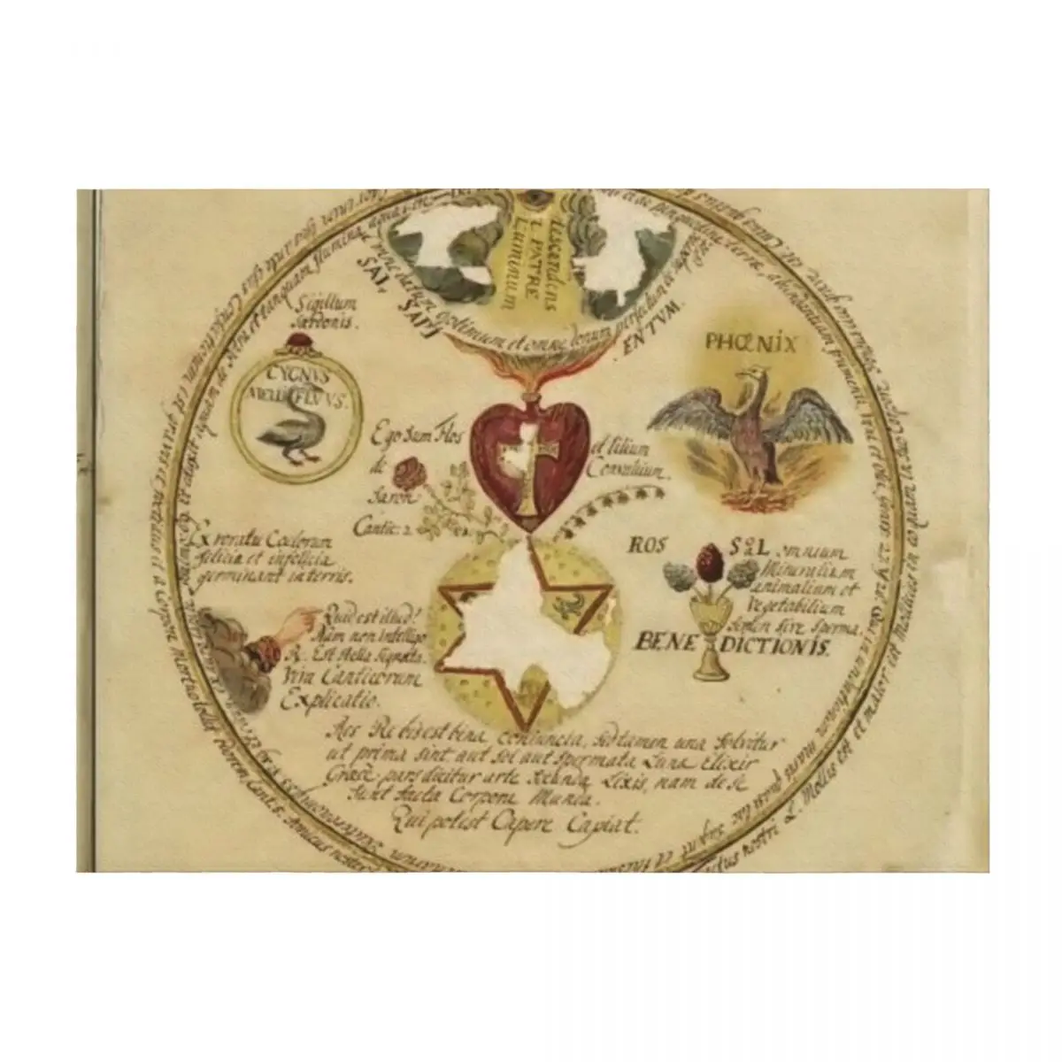 

Rosicrucian Alchemy #3 Throw Blanket Baby Thermals For Travel Hair Plaid on the sofa Blankets