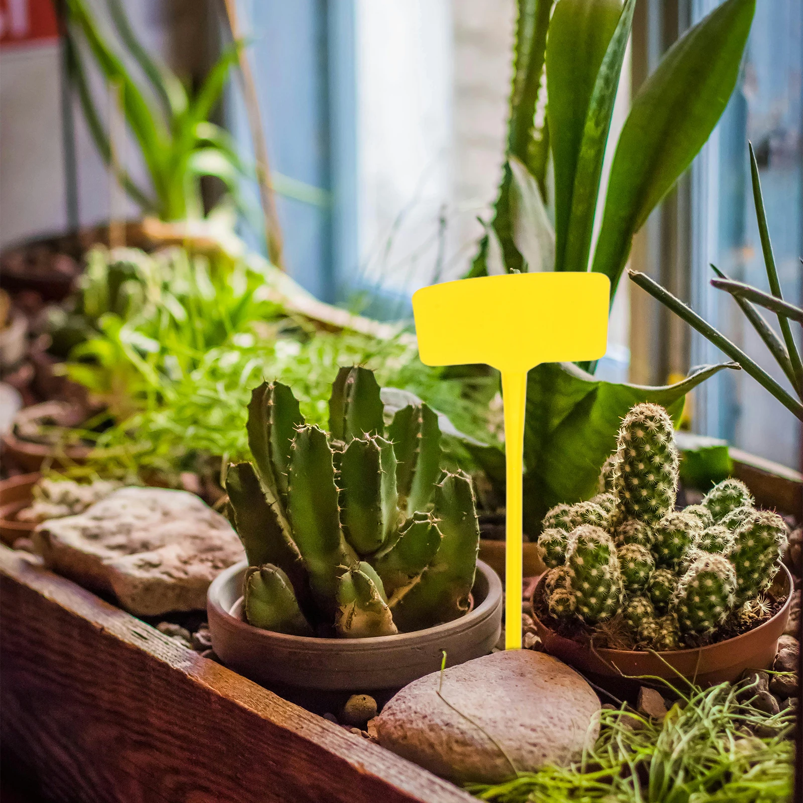 

10pcs Garden Plant Labels Weather Resistant Plastic Flower Tags Lightweight Bow Shape Ground Stake Garden Accessories Direction