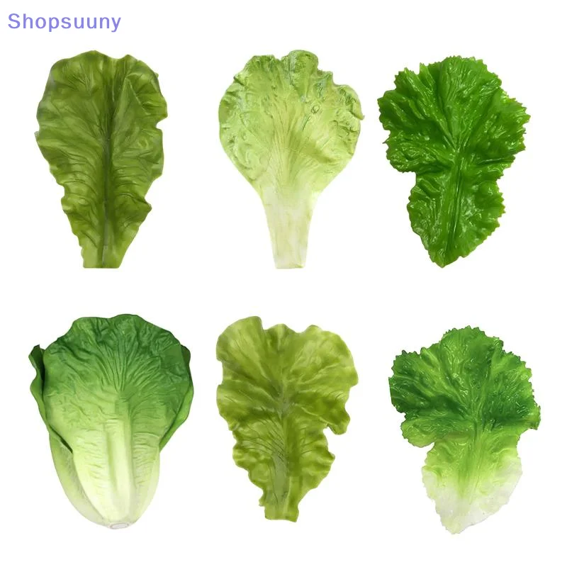 Photography Simulator - [SU]Realistic Artificial Lettuce Simulation Vegetable Models