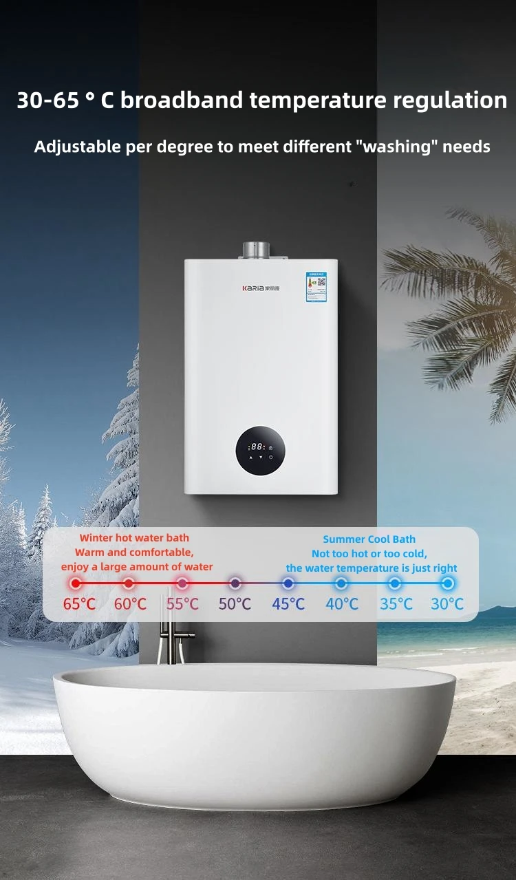 Scaldabagno a gas all'ingrosso del produttore, tutti i parametri possono essere personalizzati per scaldabagno dritto a gas combustibile 12L-16L