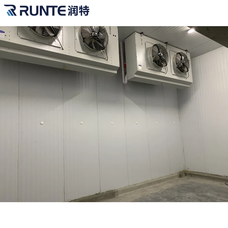 Sala frigorifera per frutta e verdura