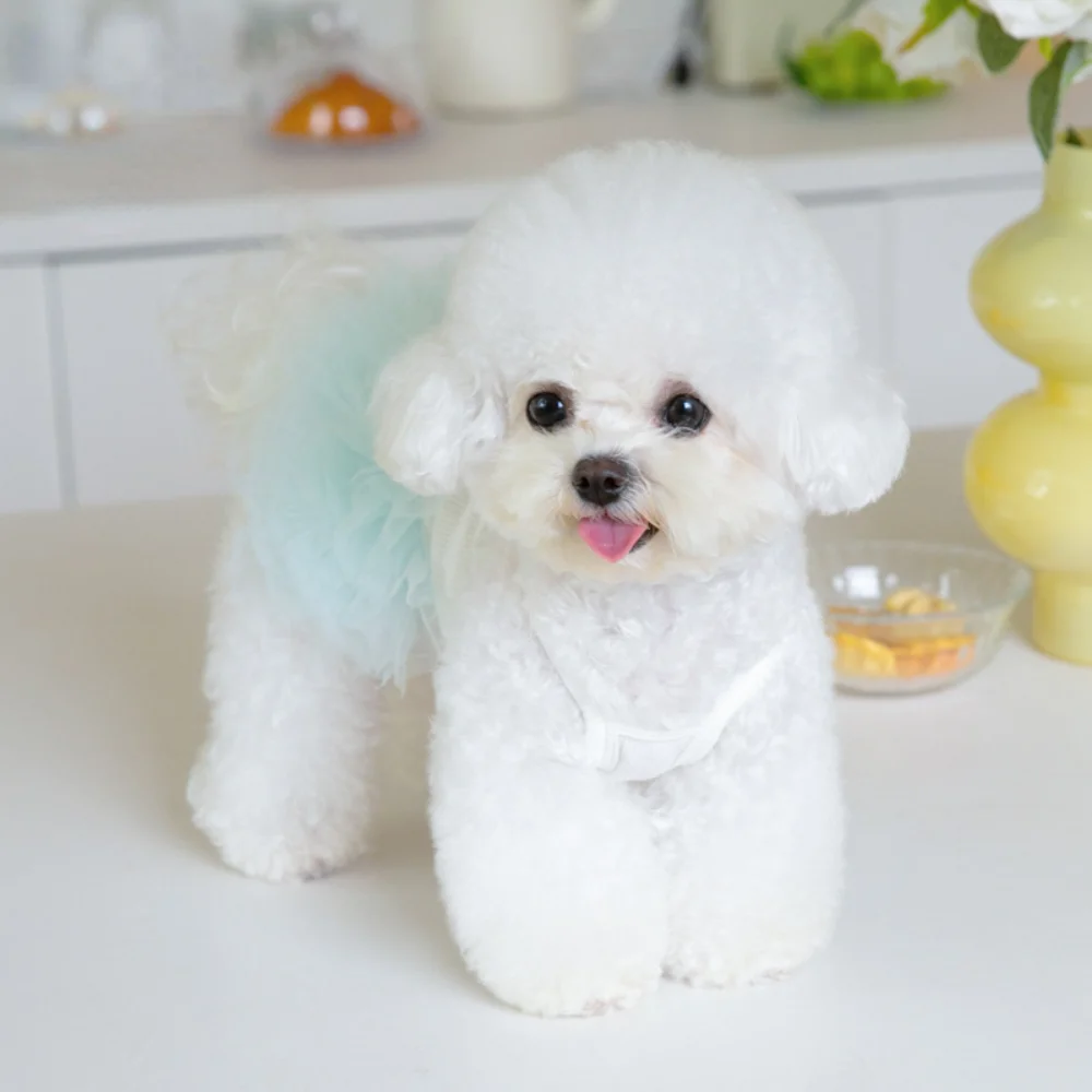 Pet Mesh Suspender Puffy Skirt Layer By Layer Tutu Skirt Pet Dog Teddy Skirt Pet Clothing Puppy Clothes Clothes for Small Dogs