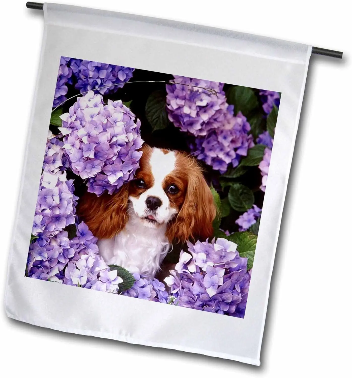 3dRose fl_61913_1 Cavalier King Charles Spaniel Garden Flag, 12 by 18-Inch