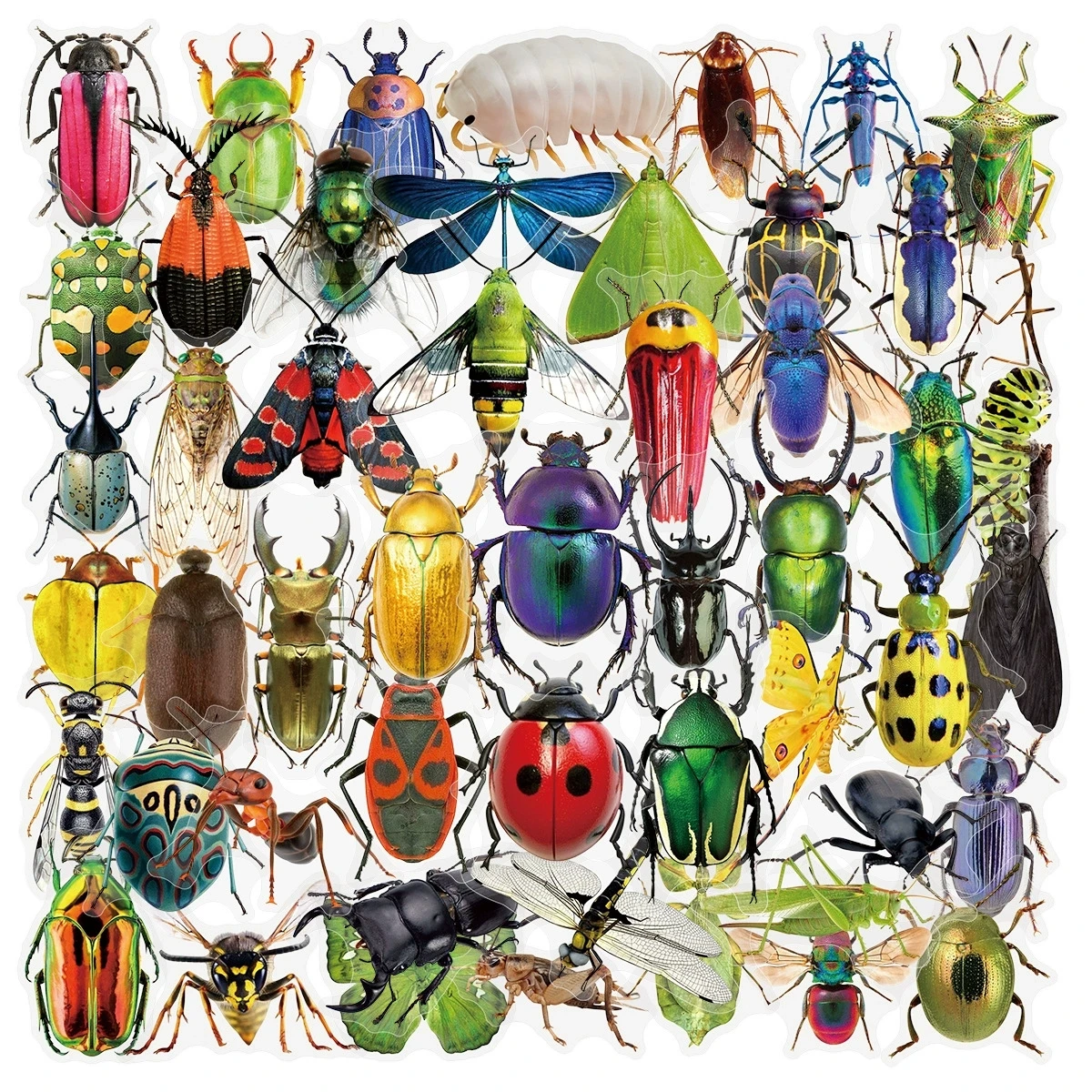 50/100PCS Transparent PET Tier Schreibwaren Aufkleber Cartoon Kreative Insekt Muster DIY Notebook Belohnung Aufkleber