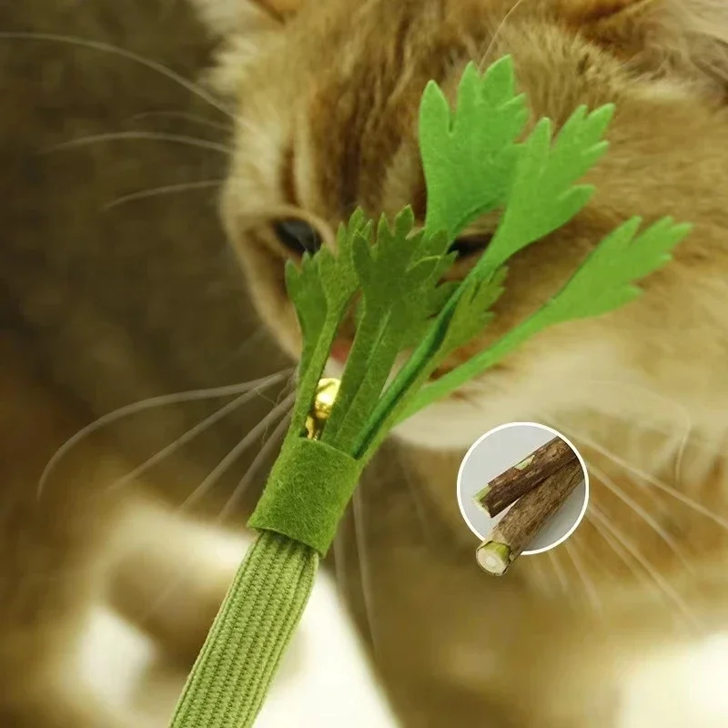 Katzen-Kauspielzeug mit Katzenminze zur Zahnreinigung, Interaktives Selbstspielzeug, Quietschende Kausticks für Katzen – Detail 1