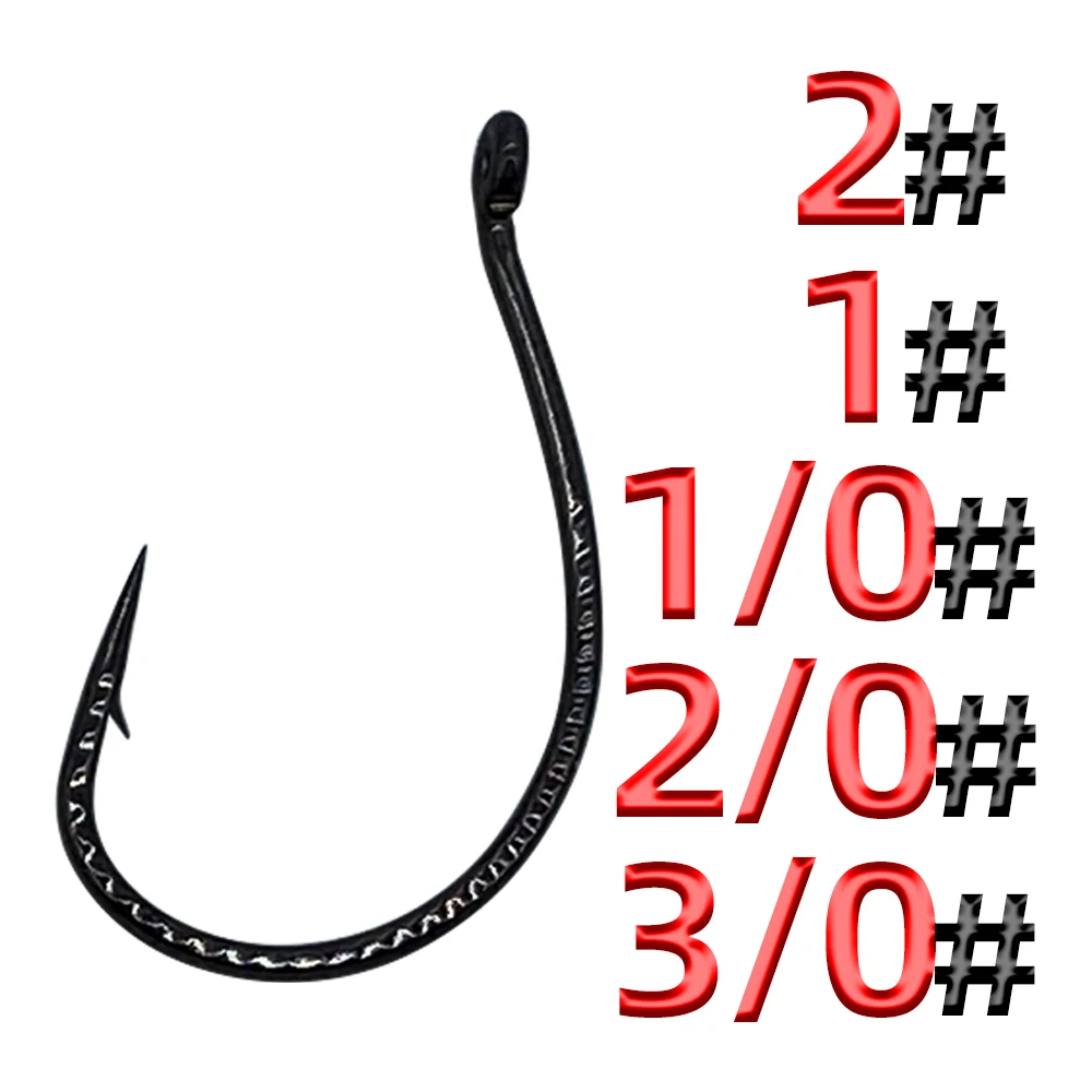 �y�Z�[�����z�h���S���g��803�t�B�b�V���t�b�N,�V���O���t�b�N���b�N���[���O,���̊C�̃o�X�o�[�̃}�[�f�B�^���Y�t�b�N�G�N�X�e���V����,50��