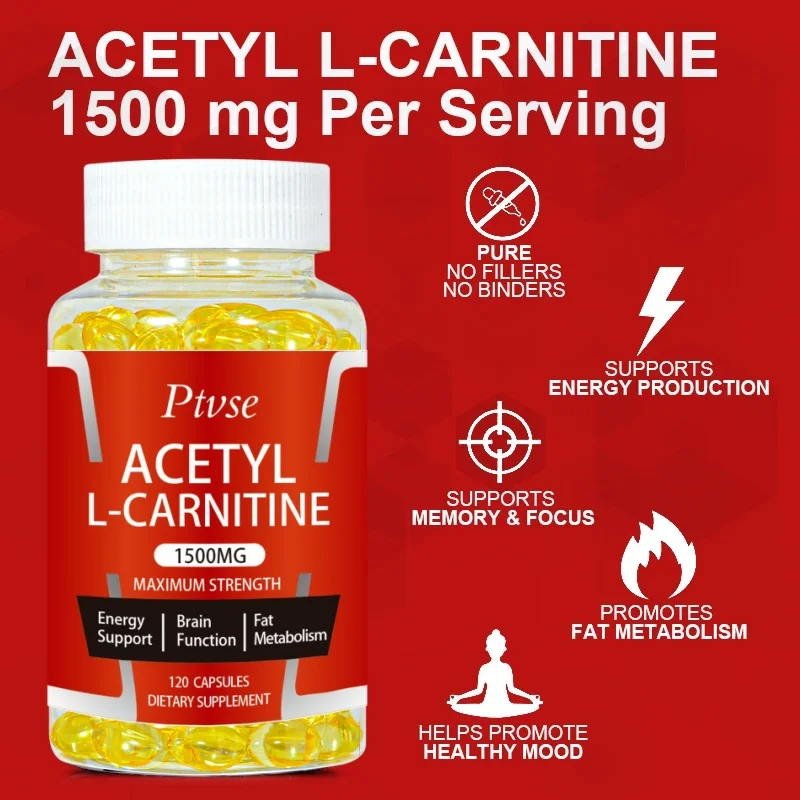 Acetyl L-Carnitine Capsule Supports Memory Focus Increase Body Performance Metabolic Energy Fitness Exercise Dietary Supplement