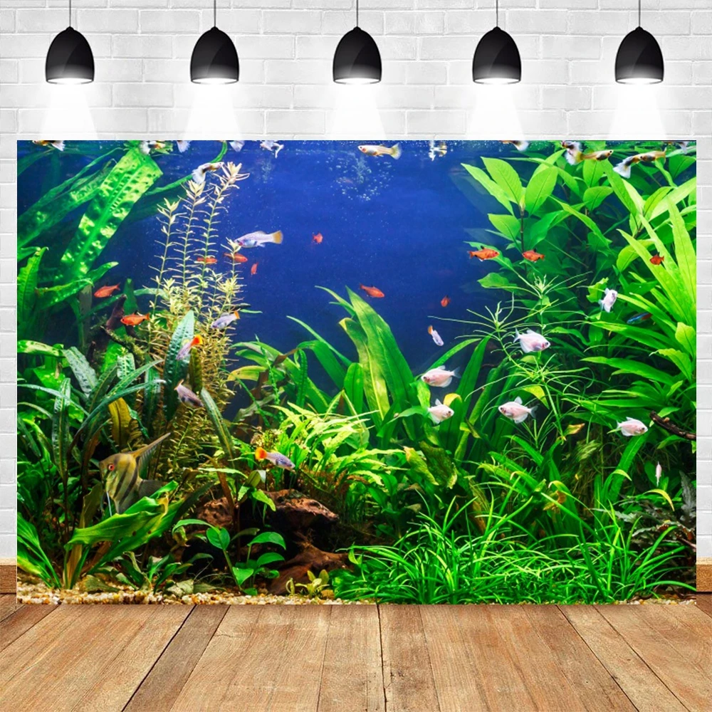 خلفية قاع البحر العالمي تحت الماء للتصوير الفوتوغرافي المحيط تحت سطح البحر سمك القرش المرجاني حوض السمك ديكور عيد الميلاد دعائم خلفية الصورة