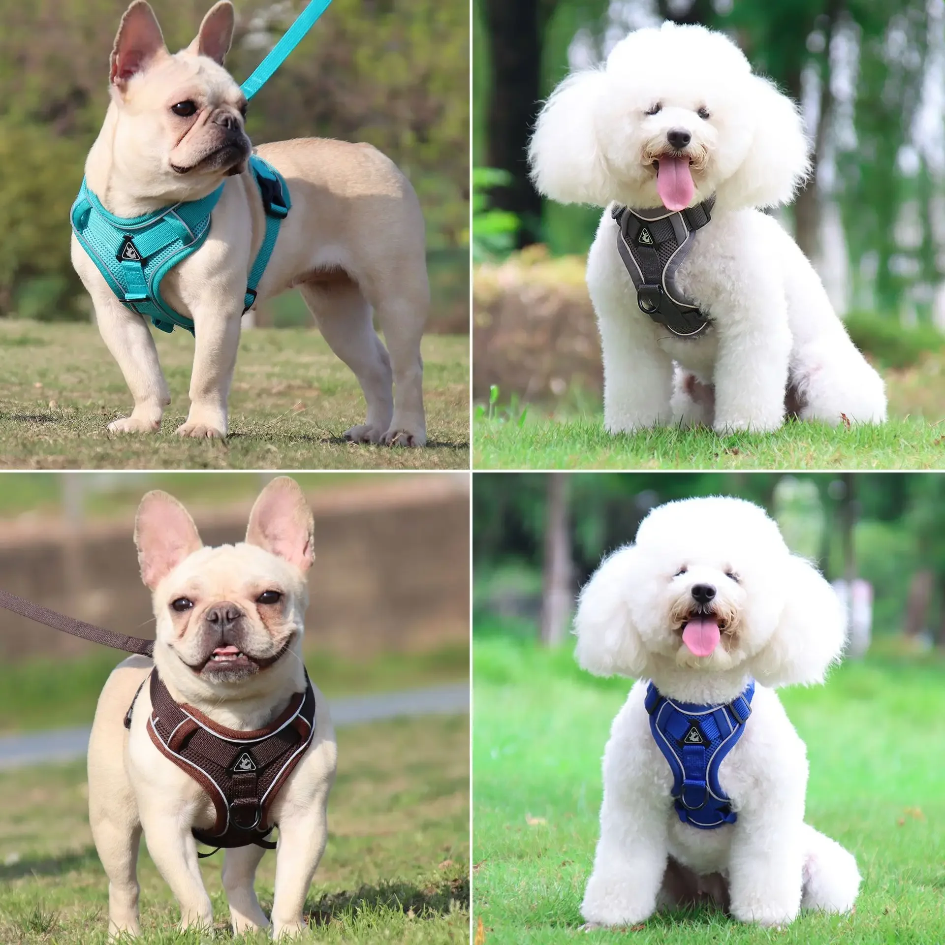 No Pull Dog Harness and Leash Set Adjustable Pet Harness Vest For Small Dogs Cats Reflective Mesh Dog Chest Strap French Bulldog