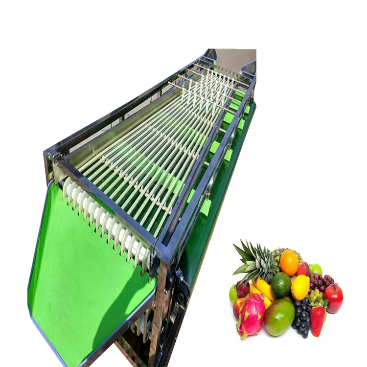 

Professional mango peach plum fruit sorting machine