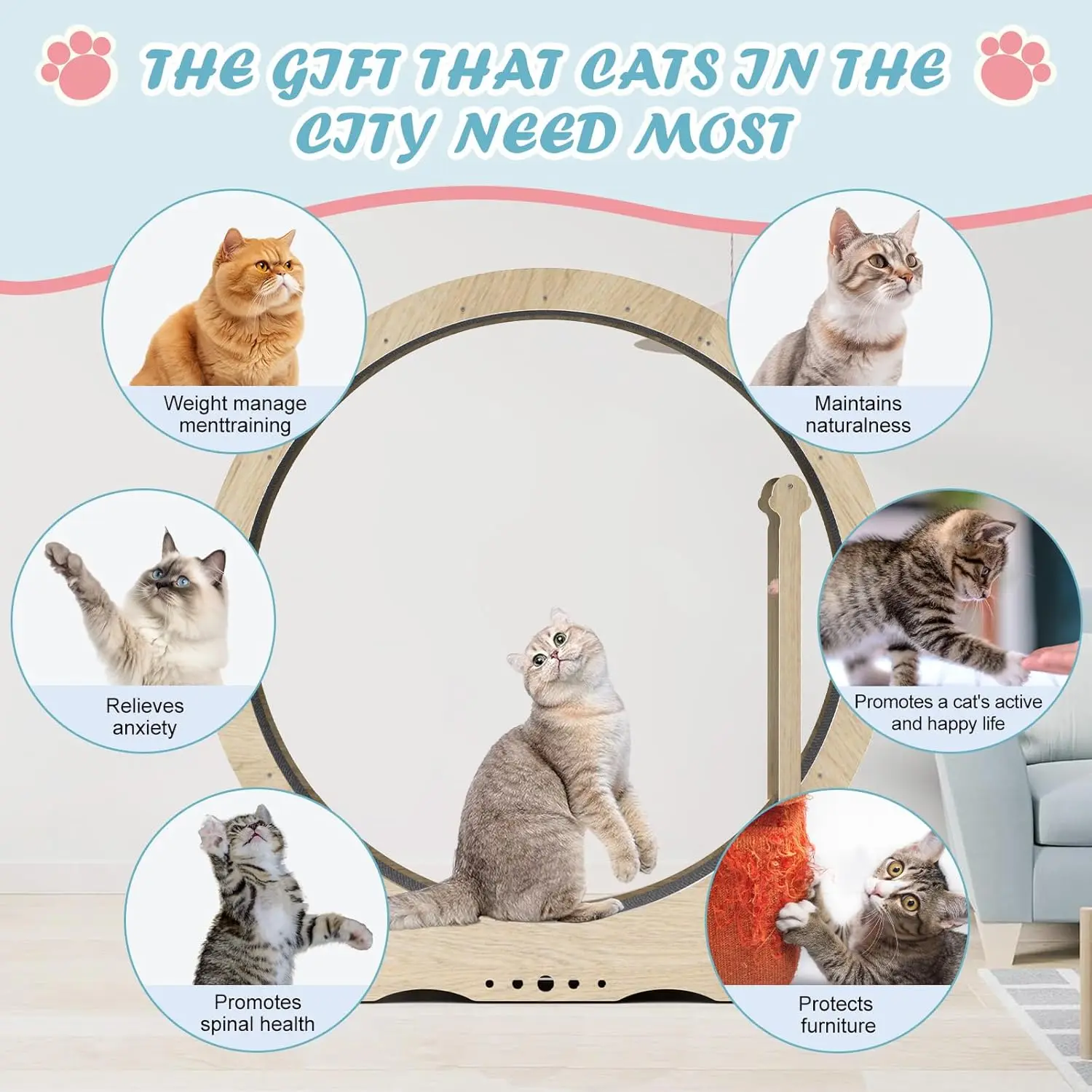 Factory Wholesale Natural Wood Color Indoor Cat Treadmill Indoor Cat Exercise Wheel With Teasing Device Running Track
