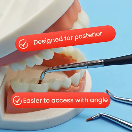Imagen 2 del producto Cepillo curvo dental, bolígrafos con forma posterior doblada, Skyists, cepillos de pelo de nailon # 0 # 2 Restauración de dientes de laboratorio de dentaduras postizas