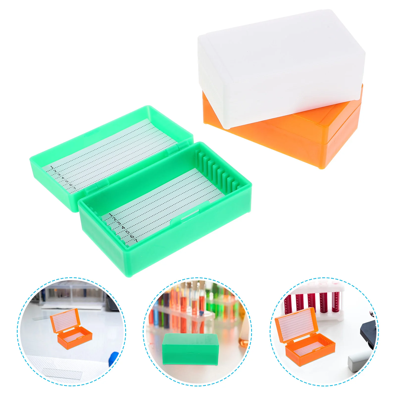 3 Pcs Trays Pathological Plate Microscope Slide Storage Cabinet Box Holder Bracket Plastic Container