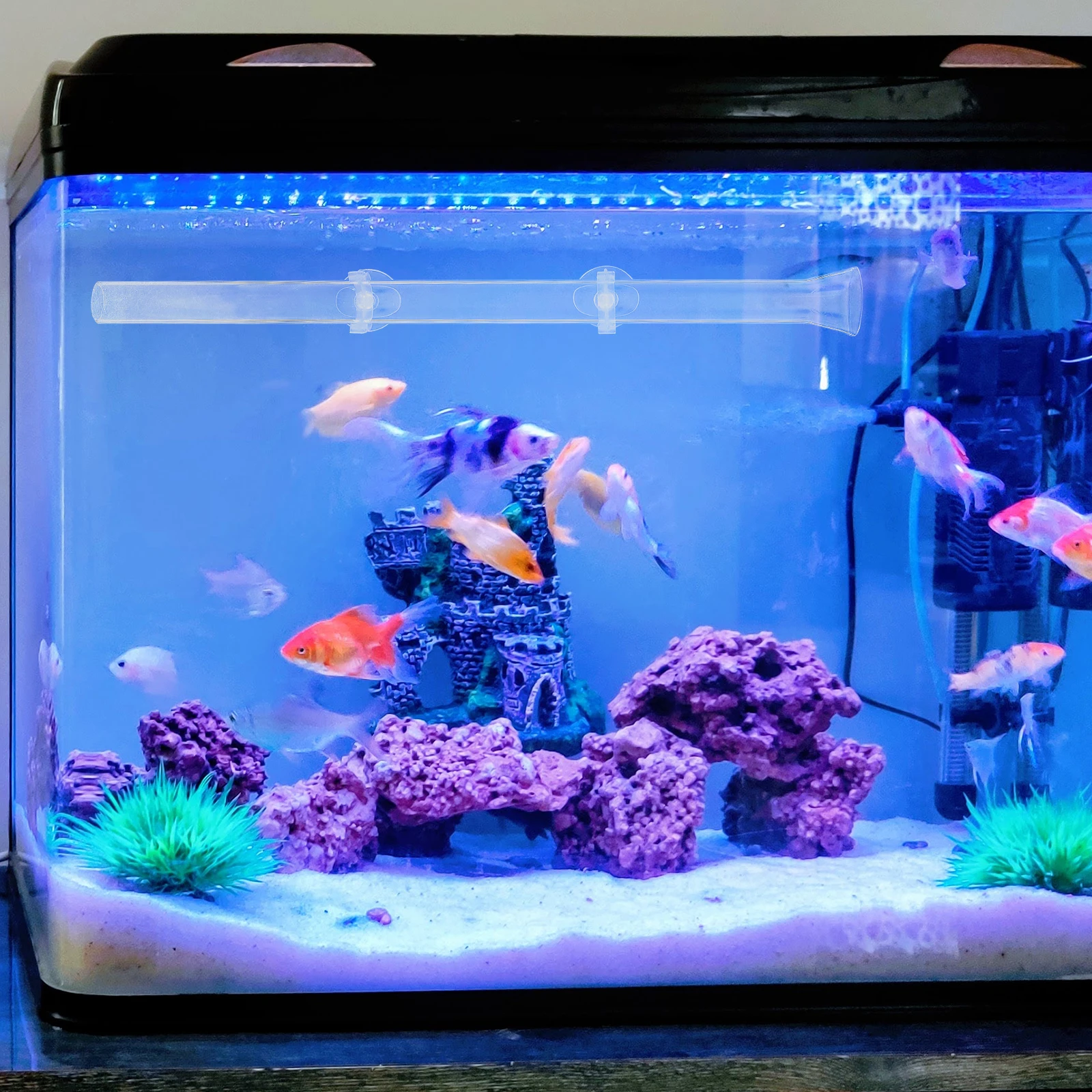 

Transparent Acrylic Feeder Tube Shrimp Fish Feeding Dish Feed Food Tray Assembled Shrimp Tray for Fish Tank Aquarium Prevent Foo