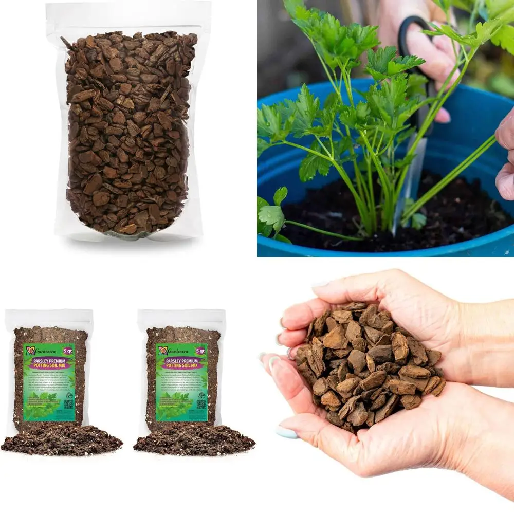 

All-Natural 10-Quart Potting Soil for Healthy, Fragrant Parsley Growth