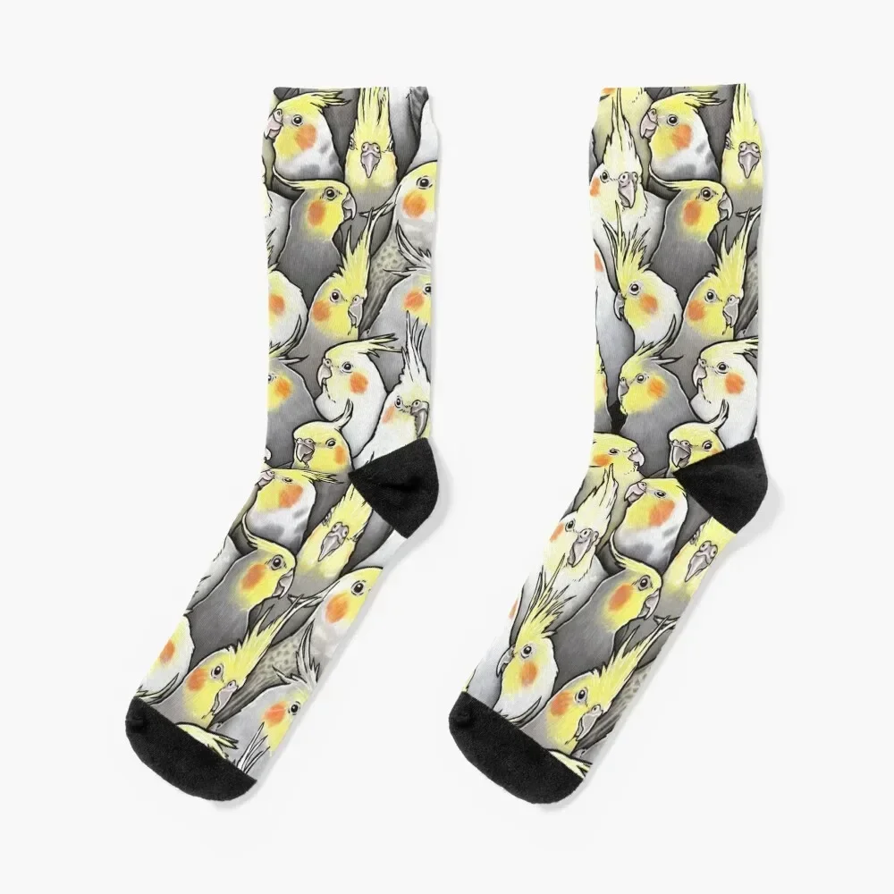 Cockatiels Galore Socks with print valentine gift ideas bright garter Men's Socks Luxury Women's