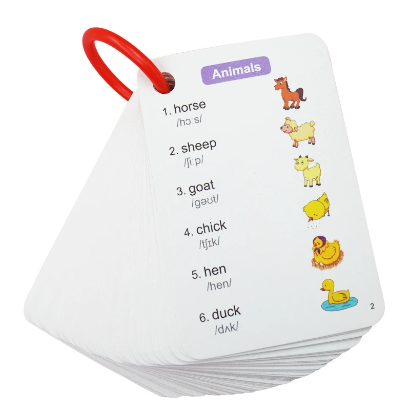 240 Sheets 1200 Words Primary School English Word Vocabulary Learning Cards for Kids Montessori Chinese English Study Cards