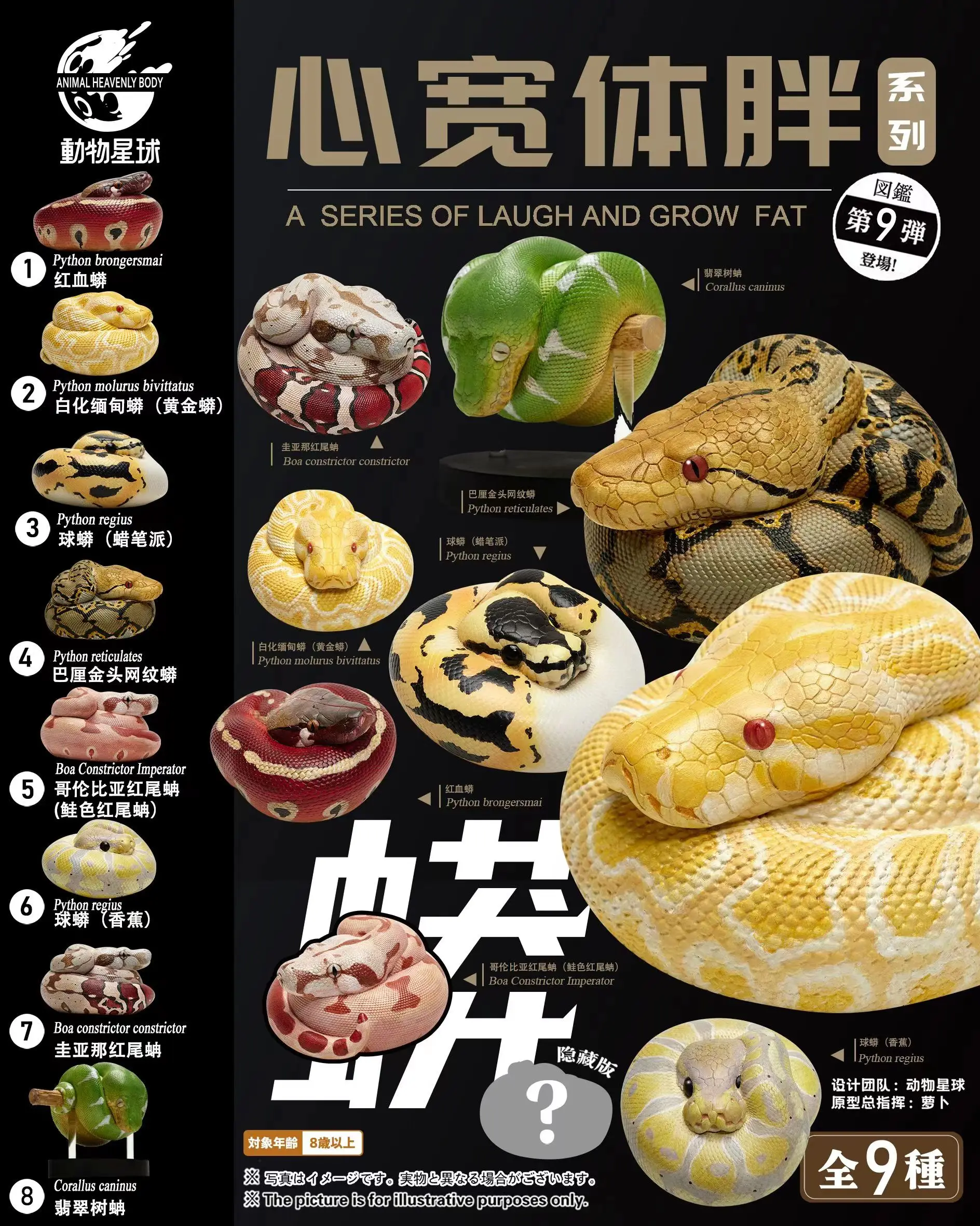 The Ultimate Guide to the Animal Planet 09 Snake 2.0 Blind Box: Why I Chose This Boho Python Collection for My Reptile Enthusiast Friend