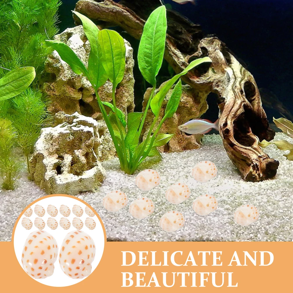

30Pcs Natural Conch Shell Aquarium Decor DIY Hermit Crab Shell Fish Tank Landscape Decoration Aquarium Conch Decoration