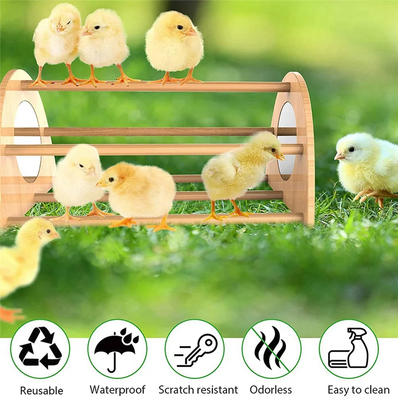 

Chicken Toy Interesting Chicken Toy With Mirror For Coop And Brooder, For Toys Chicken