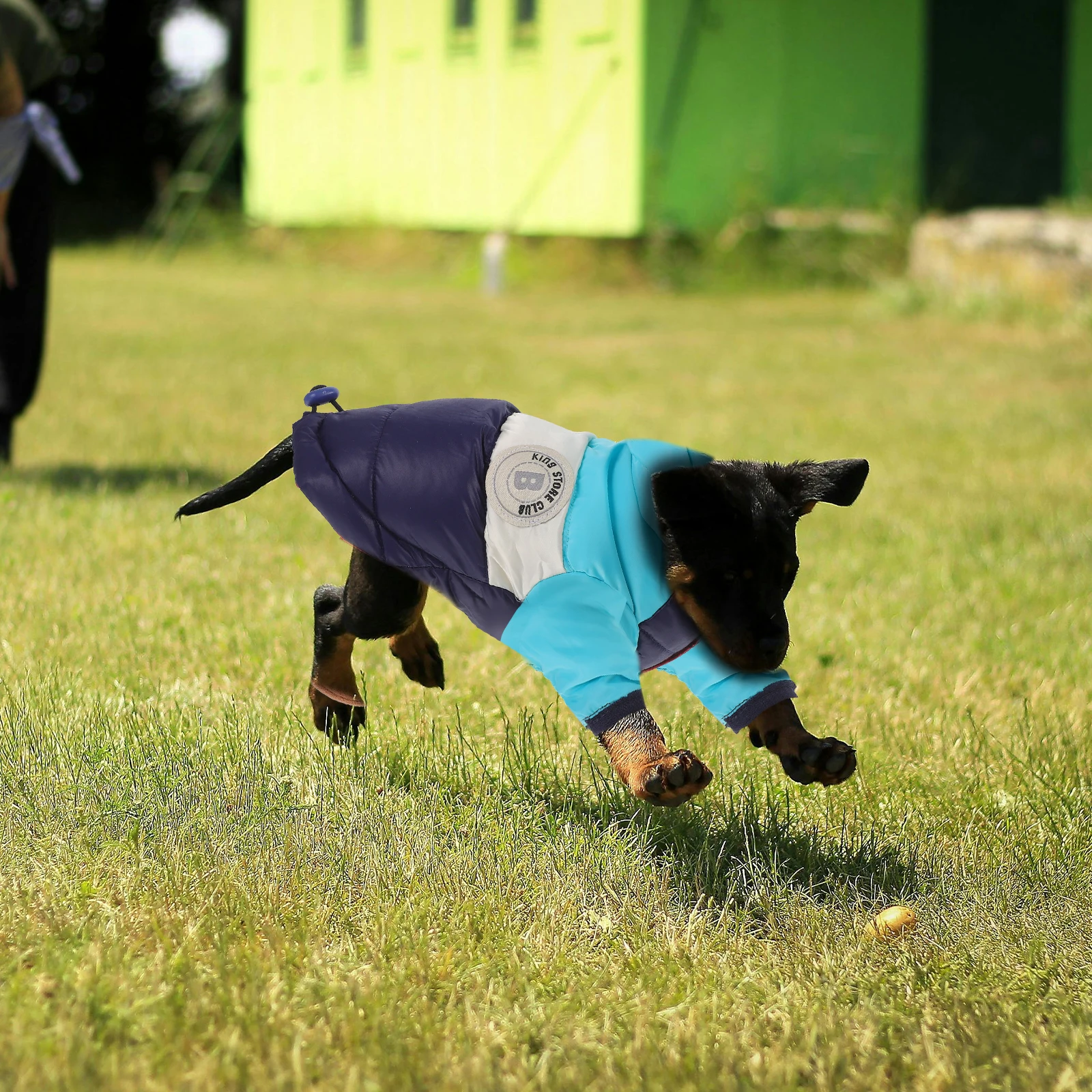 

Dog Warm Vest Pet Clothes Puppy Costume Winter Supply Outfit Cotton Soft Cozy Trendy Design Fashionable Doggy Wear Keeps Warm