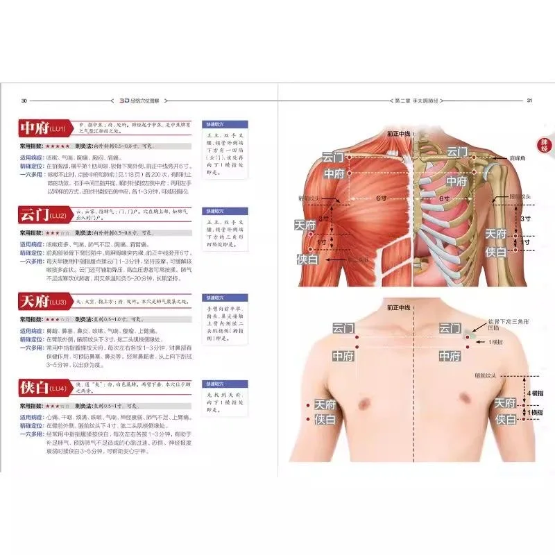 3D Meridian Acupoint Diagram, Chawei High Definition Musculoskeletal Diagram, Real Person Acupoint Sampling Demonstration book