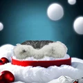 black plus fur warm