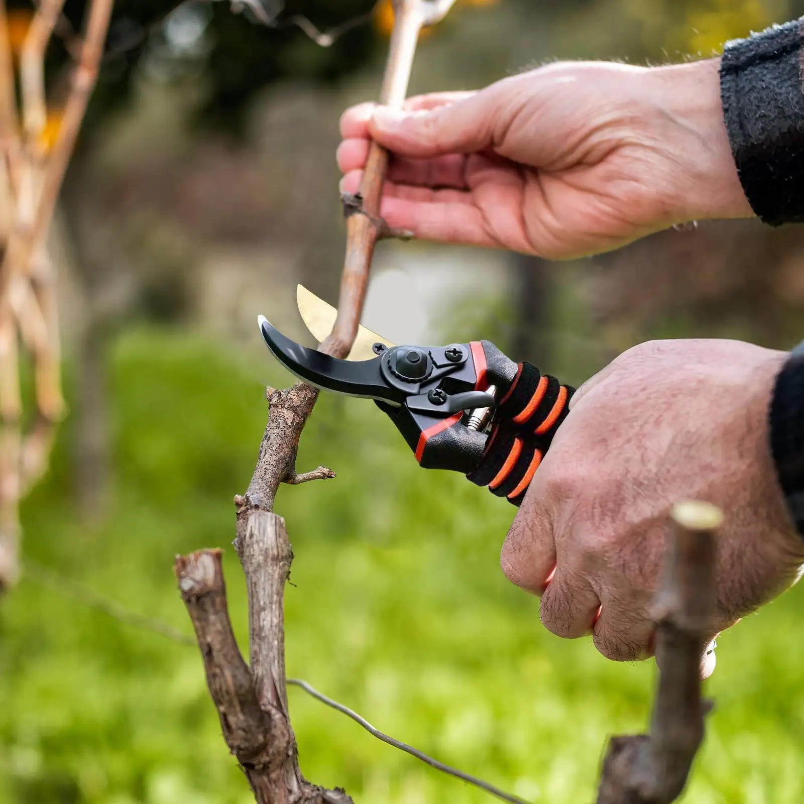 

Stainless Steel Professional Gardening Shears Pruning branches Fruit trees Flowers Household Pruning Tools Shears