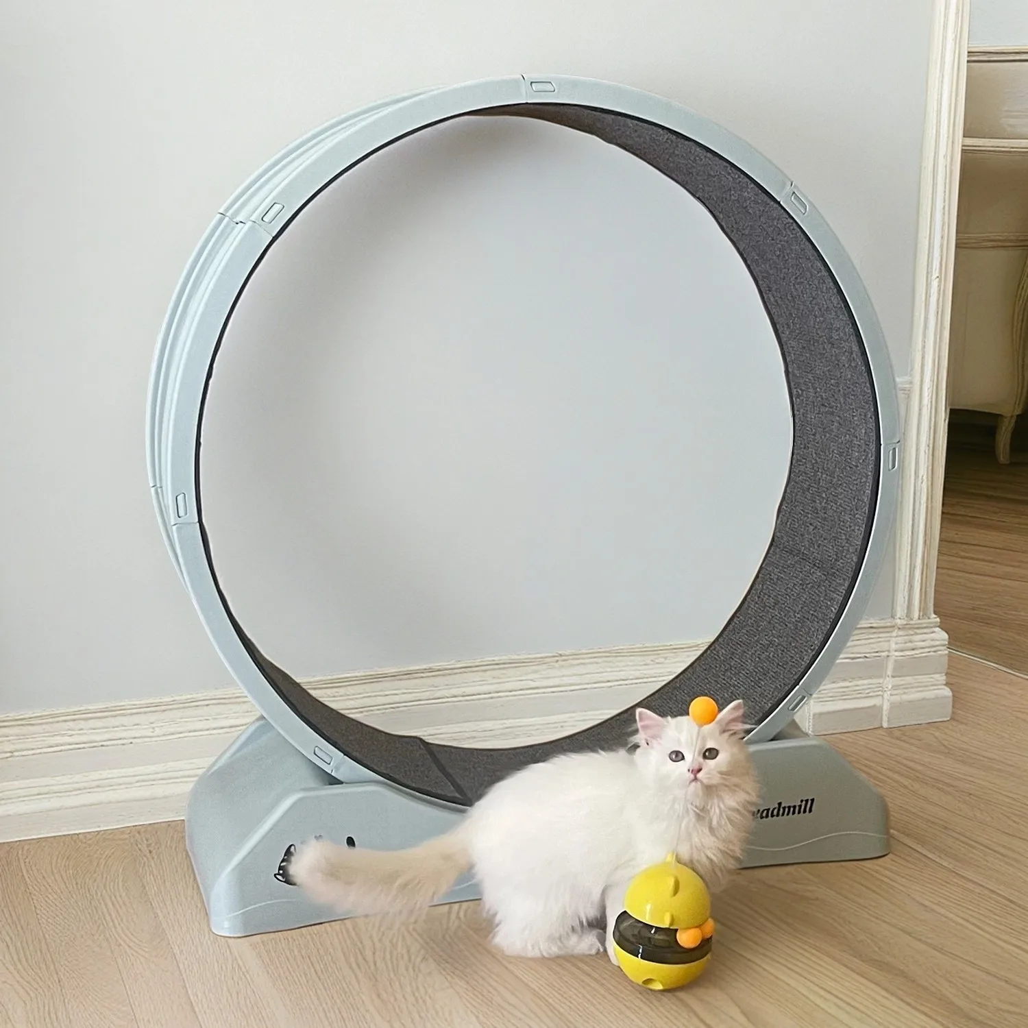 Silent Roller Cat Treadmill Pet Furniture Anti-stuck Feet Fitness Cat Running Wheel Plastic Pet Cat Treadmill