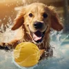 Pet toys don't bite Interactive Frisbee Dog toy Boredom relief Pet ball Puppy supplies Dog bite ring 1