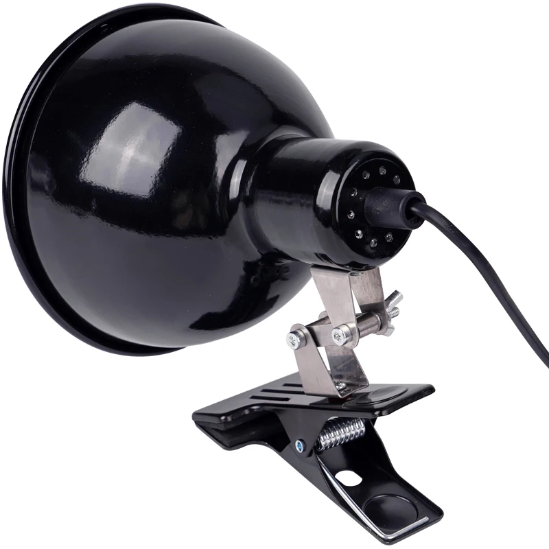 #36 Ranked Reptile Heat Lamps Picks in 2026